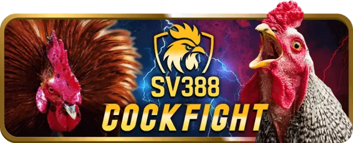 Xổ Số & Lô Đề ZM88